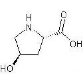 Hydroxy-L-Proline Analysis