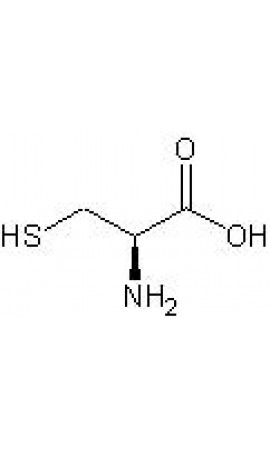 Cysteine Analysis (EP) - 0895