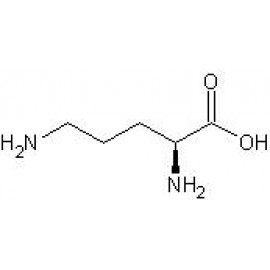 L-Ornithine Analysis