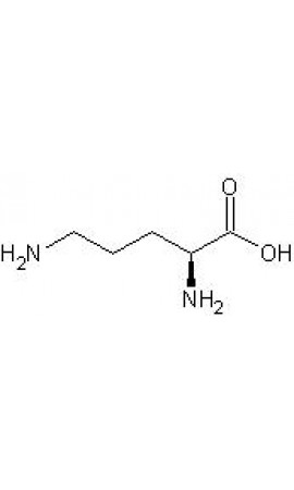 L-Ornithine Analysis