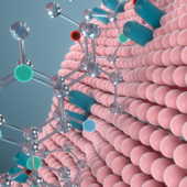 Lipid Class Analysis