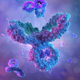 Monoclonal Antibody Amino Acid Analysis