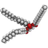 Triglyceride Analysis