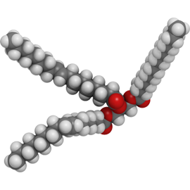 Triglyceride Analysis