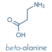 Beta-Alanine Standard