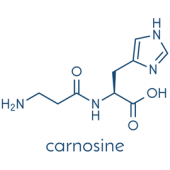 Carnosine (B-Alanyl-L-Histidine) Standard