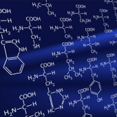 Free Amino Acid Analysis (double injection)