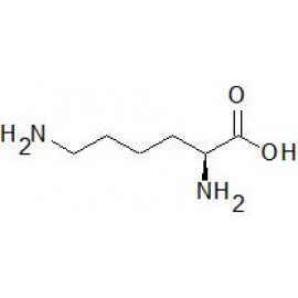 Lysine Analysis (EP) - 0930