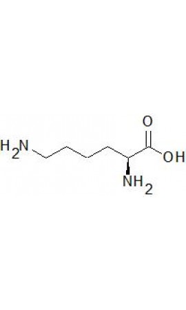 Lysine Analysis (EP) - 0930