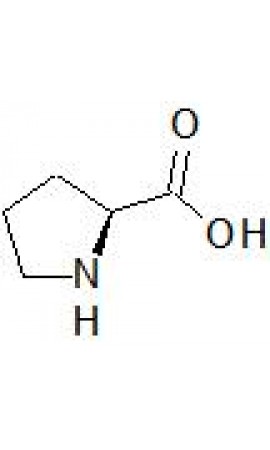 L-Proline Analysis