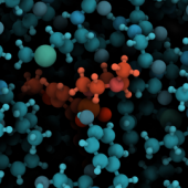 Single Free Amino Acid Analysis