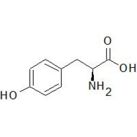 Tyrosine Analysis (EP) - 1161