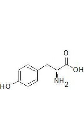 Tyrosine Analysis (EP) - 1161