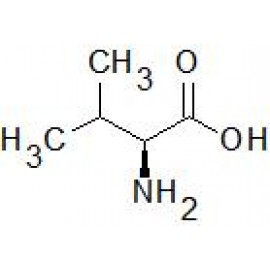 L-Valine Analysis